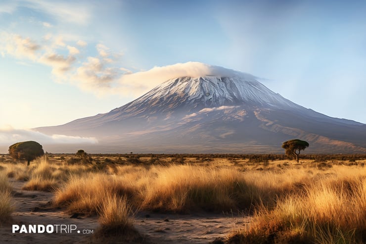 Mount Kilimanjaro at sunset with a savanna in the foreground