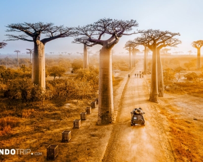 Top 10 Incredible Natural Wonders in Africa