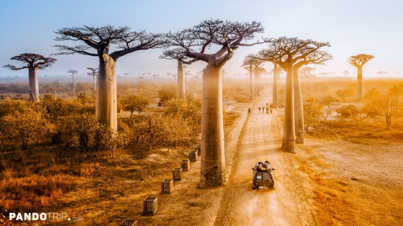 Natural Wonders of Africa
