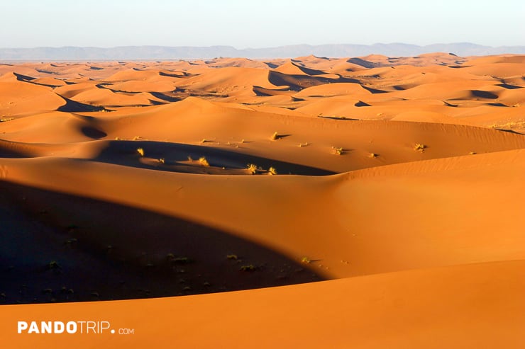 Sand dunes in Sahara desert