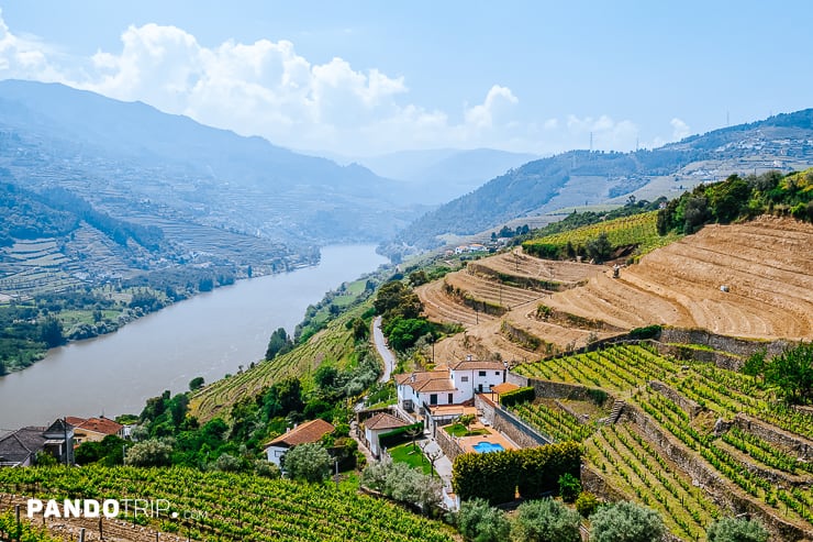 Douro River with vineyards in Douro Valley