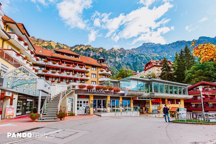 Street of mountain town Wengen