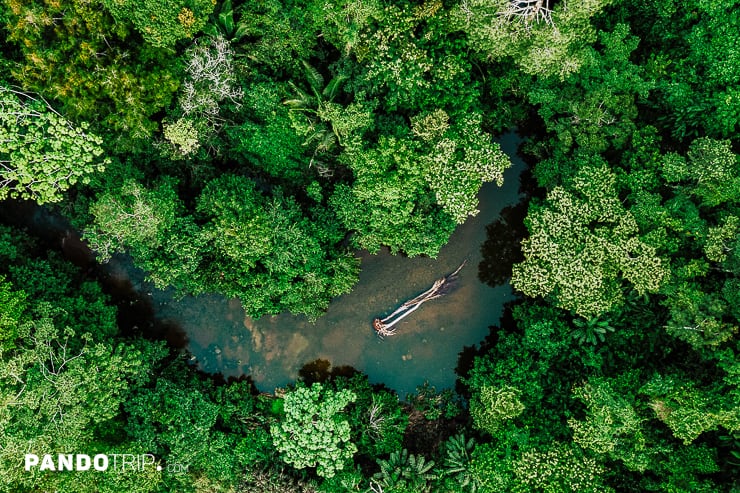 Aerial photo of river in Amazon Rainforest in Peru