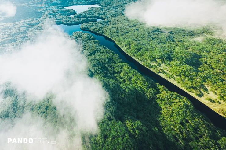 Aerial view of Amazon Rainforest with river