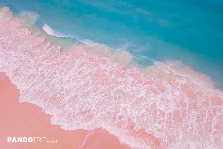 Aerial view of Pink Sand Beach, Harbour Island, Bahamas