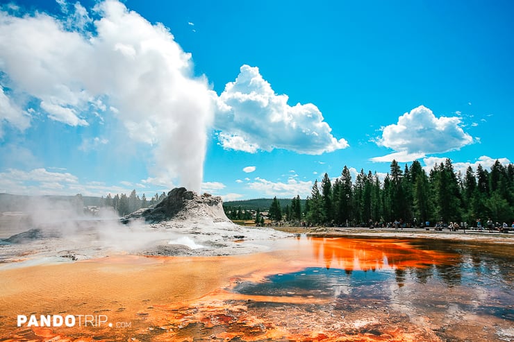 Castle Geyser, Yellowstone National Park