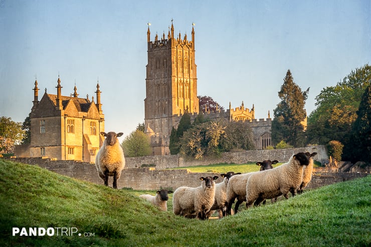 Chipping Campden church with sheeps in Cotswolds