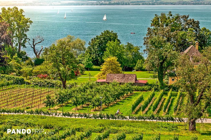 Cycling near Hagnau at lake Constance