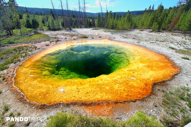 Morning Glory Pool Yellowstone