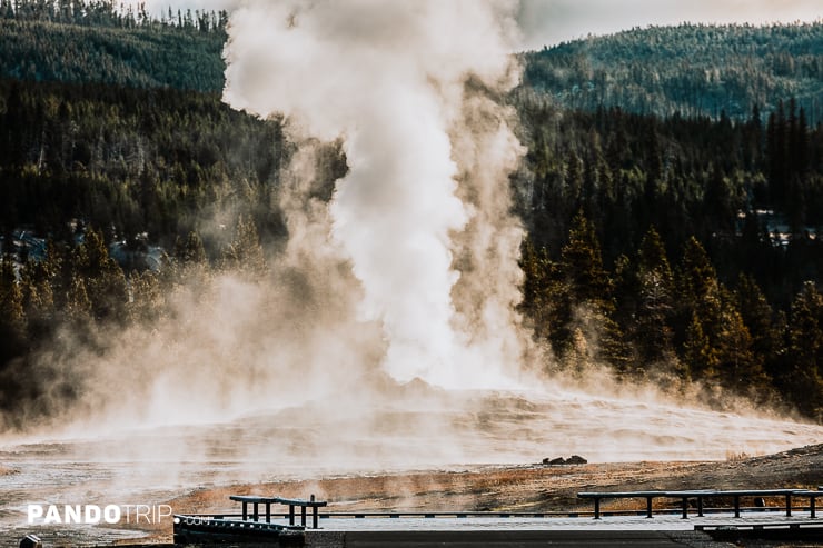 Old Faithful exploding hot smoke before eruption in Yellowstone National Park