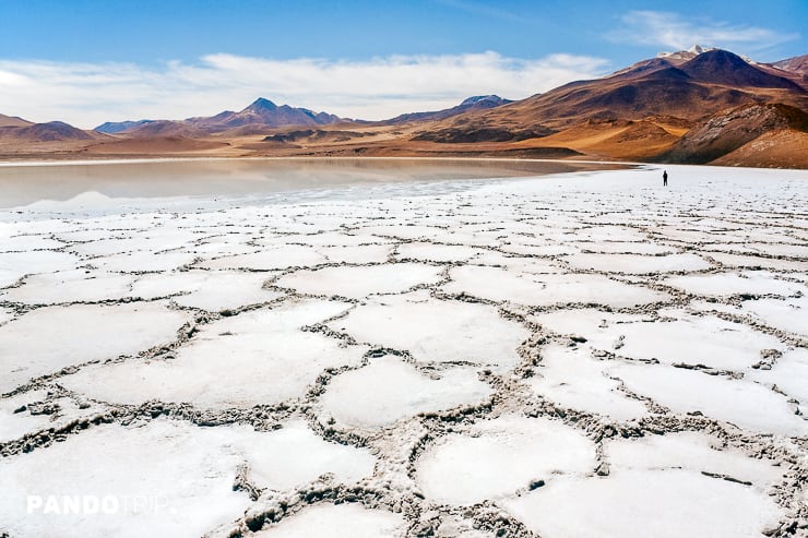 Tuyajto Lagoon and Salt Flats in Atacama Desert
