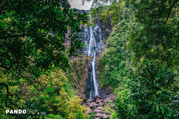 Wairere Falls