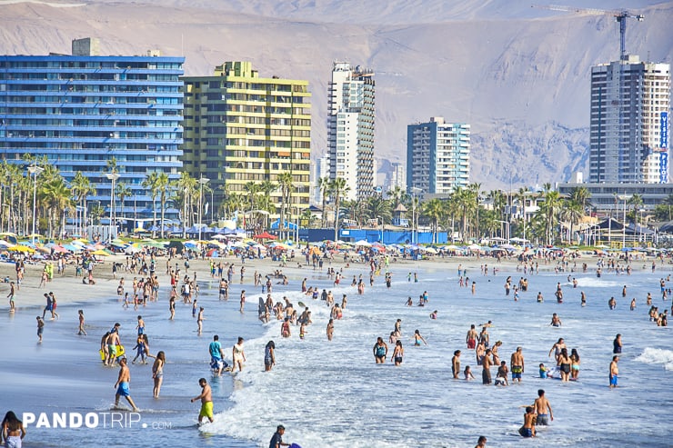 Iquique beach