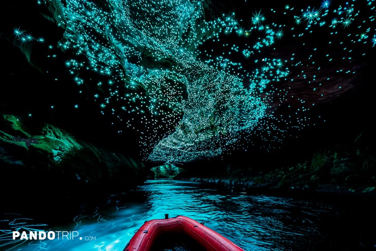 Bout inside Waitomo Caves