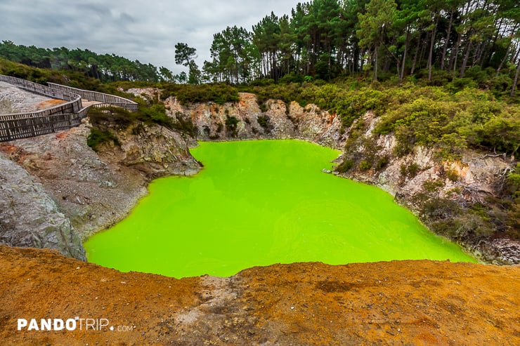 Devil's Cave Pool, Wai-O-Tapu Thermal Wonderland