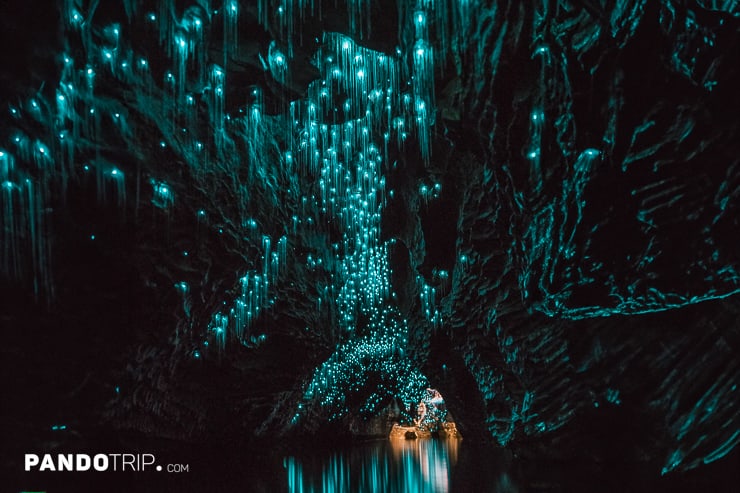 Inside Waitomo Cave in New Zealand