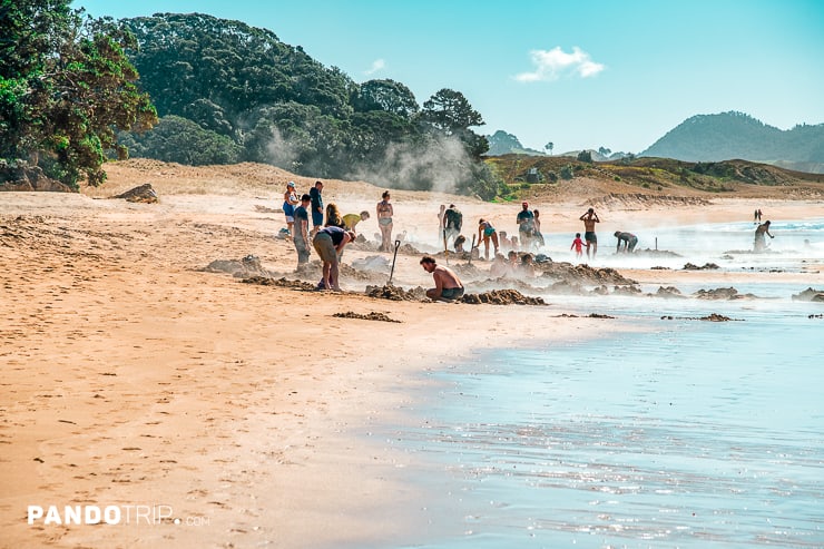 People digging their own hot water pools at Hot Water Beach, Coromandel