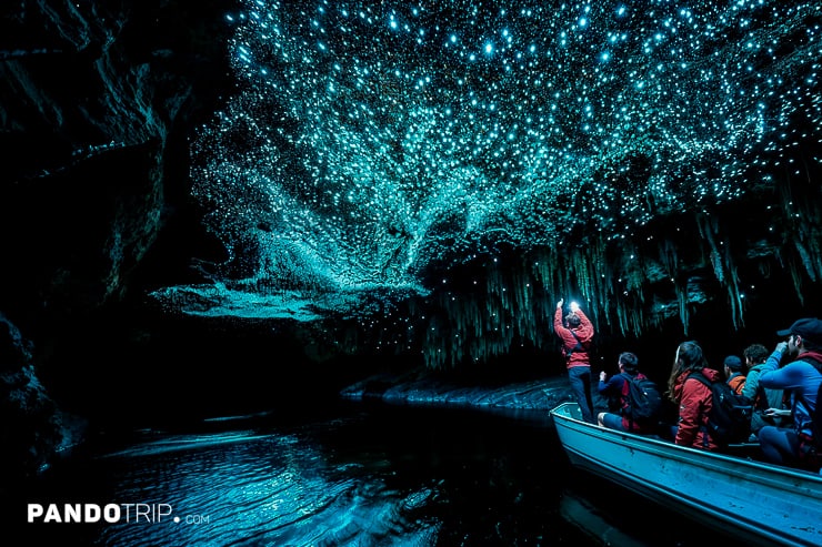 Spectacular Waitomo Caves in New Zealand