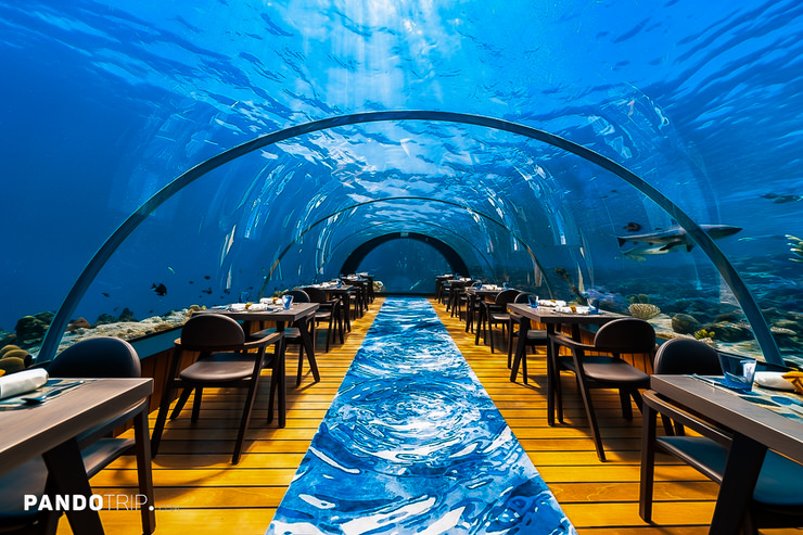 5.8 Undersea Restaurant, Maldives