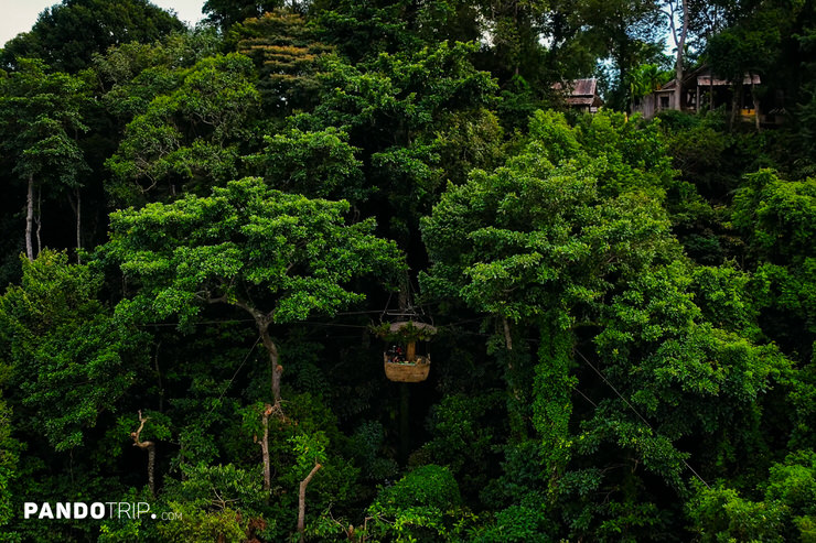 Aerial view of treepod dining