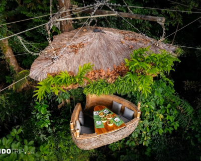 Bird’s Nest Restaurant in Thailand
