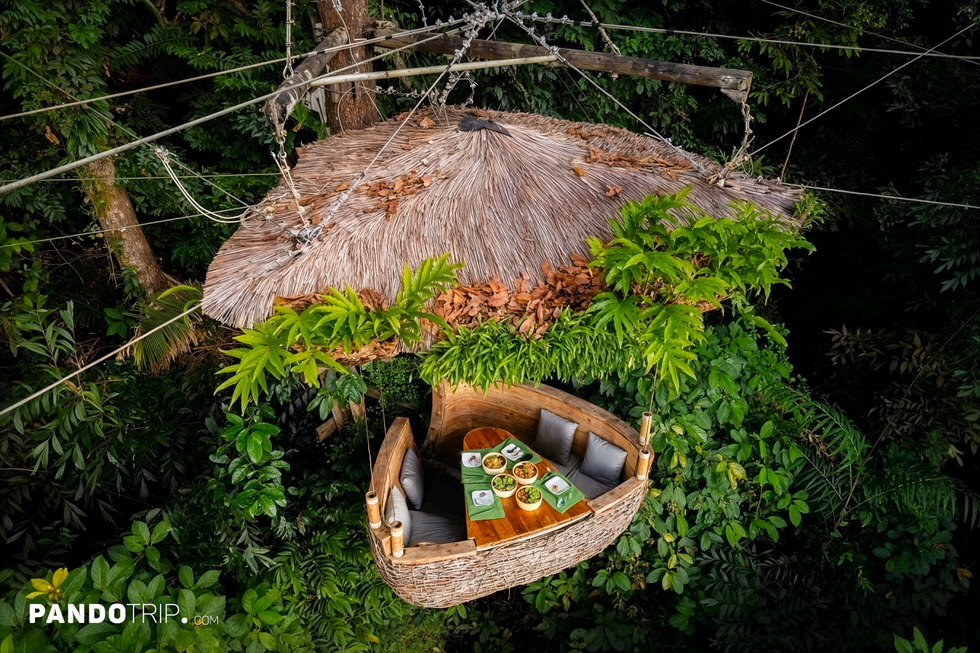 Bird’s Nest Restaurant in Thailand