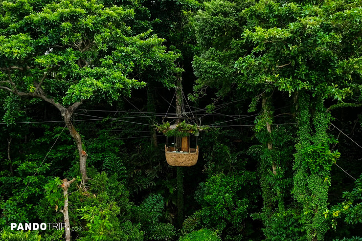 Treepod dining in Thailand