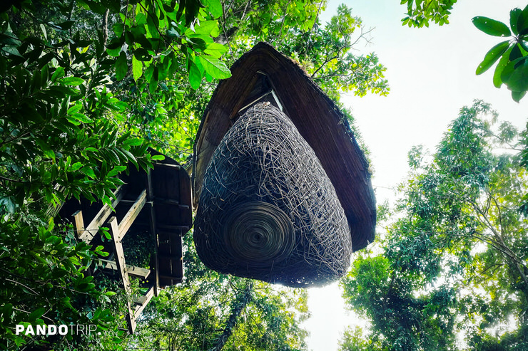 View from the ground to the pod at Close up of wooden bow with food at Bird’s Nest Restaurant in Thailand