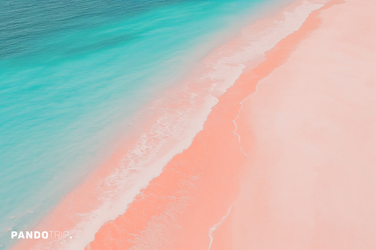Aerial view of pink sandy beach, Bahamas