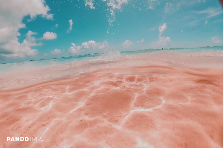 Close up view of pink sandy beach water