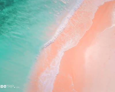 The Unique Pink Sands Beach in Harbour Island, the Bahamas