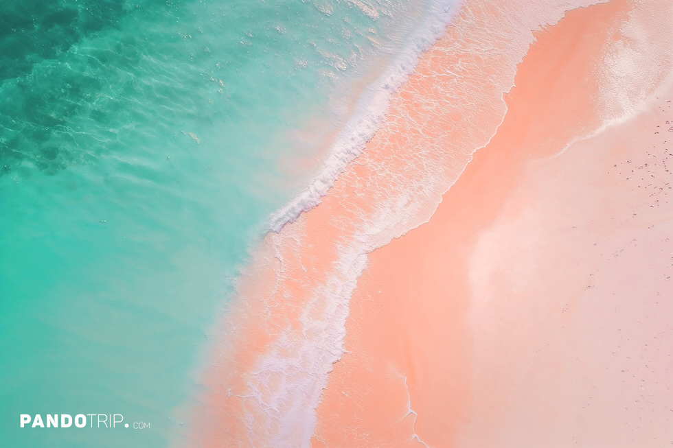 The Unique Pink Sands Beach in Harbour Island, the Bahamas