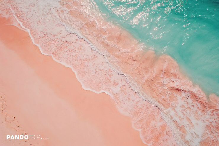 Top-down view of the pink beach of the Bahamas