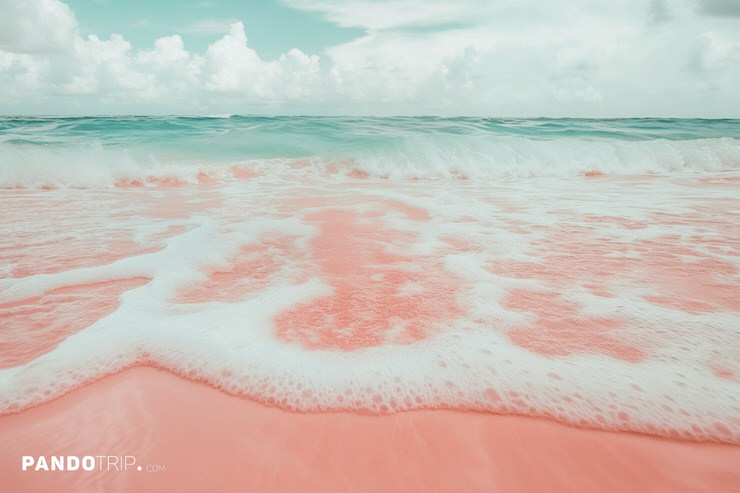 Waves of pink beach, Bahamas