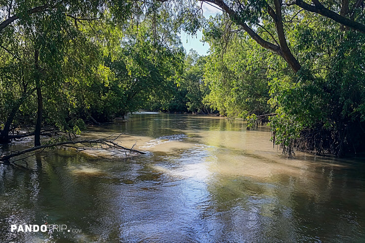Billabong Creek in Australia