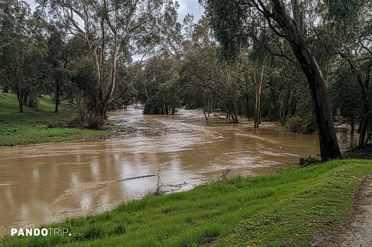 Billabong Creek