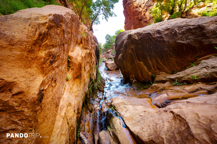 North Creek, Zion National Park
