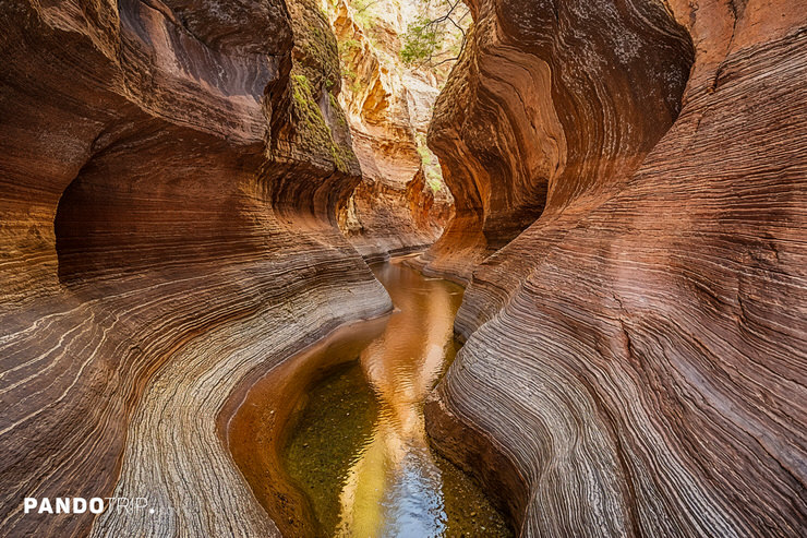 North Creek