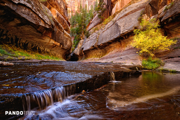 The Subway, Zion National Park