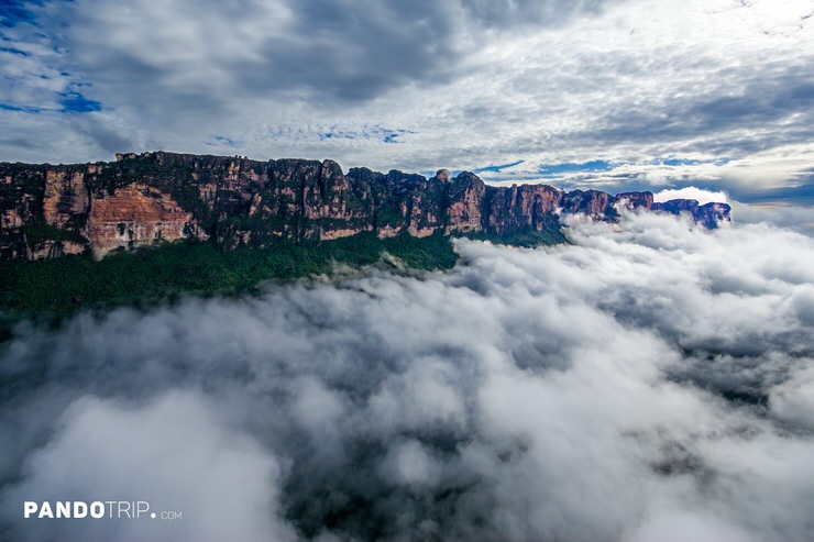 Cloud-shrouded Auyán Tepui with dramatic cliffs and a dense rainforest canopy below