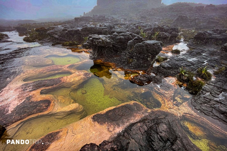 Colorful Pools and Alien Landscapes on Mount Roraima’s Summit