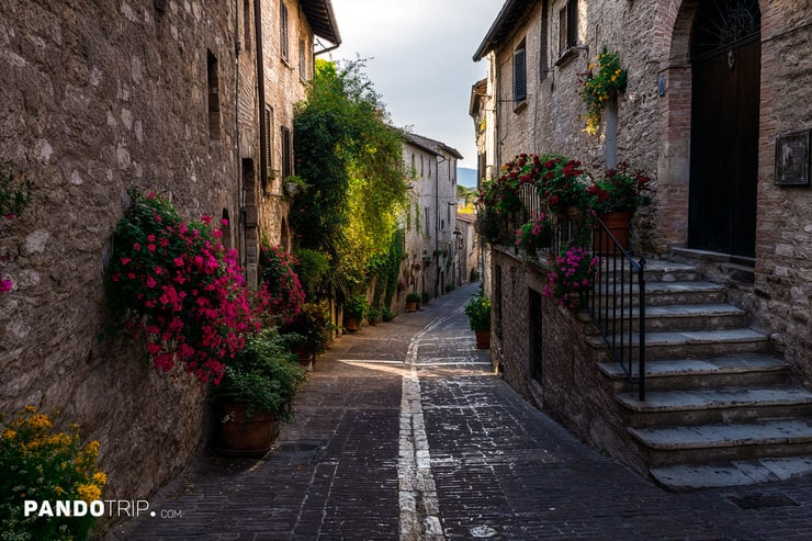 Curved Stone Street in Spello Adorned with Flower Pots