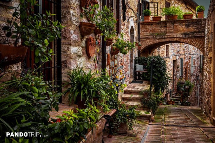 Elevated Alley with Arched Passage and Greenery in Spello