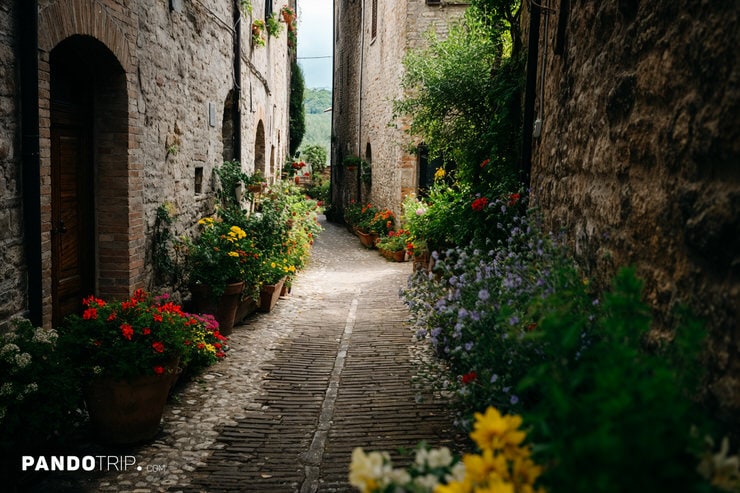 Flower-Lined Alleyway in the Heart of Spello