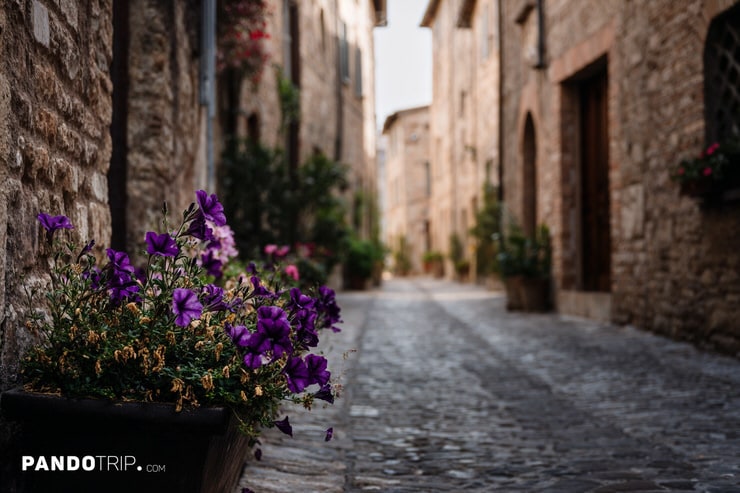Purple flowers in a pot on a narrow cobblestone street in Spello, Italy