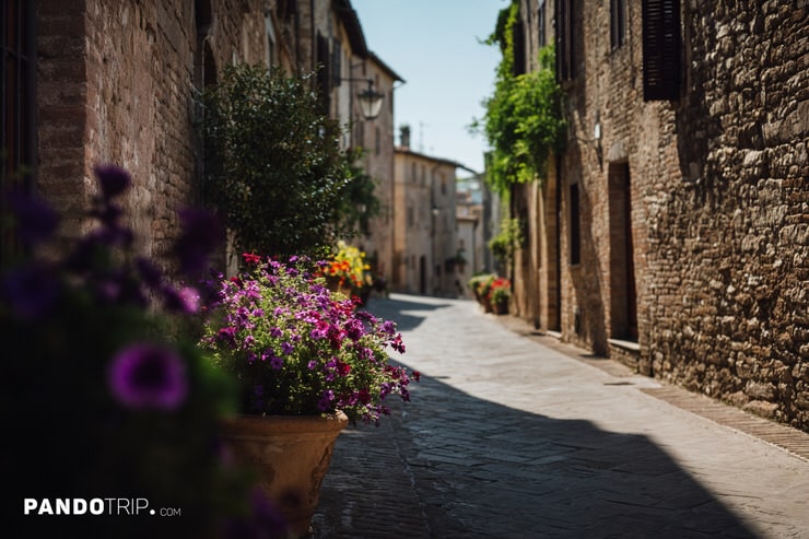 Flower Pots in Full Bloom on a Sunny Street in Spello