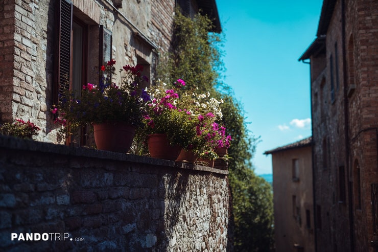 Flower Pots on a Stone Balcony in Spello with a View