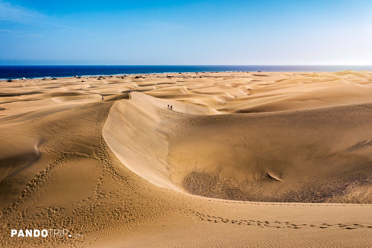 Sweeping sand dunes of Maspalomas stretching toward the Atlantic Ocean