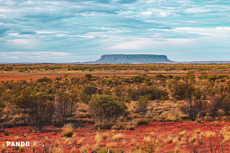 Distant view of Mount Conner rising from the flat desert landscape under a cloudy sky