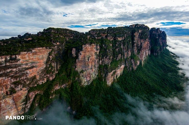 Sheer Cliffs of Auyán Tepui Rising Above the Rainforest